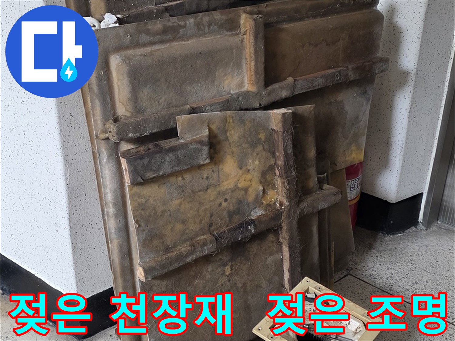 축축한 천장재와 조명 - 빠른 누수 해결 필요
