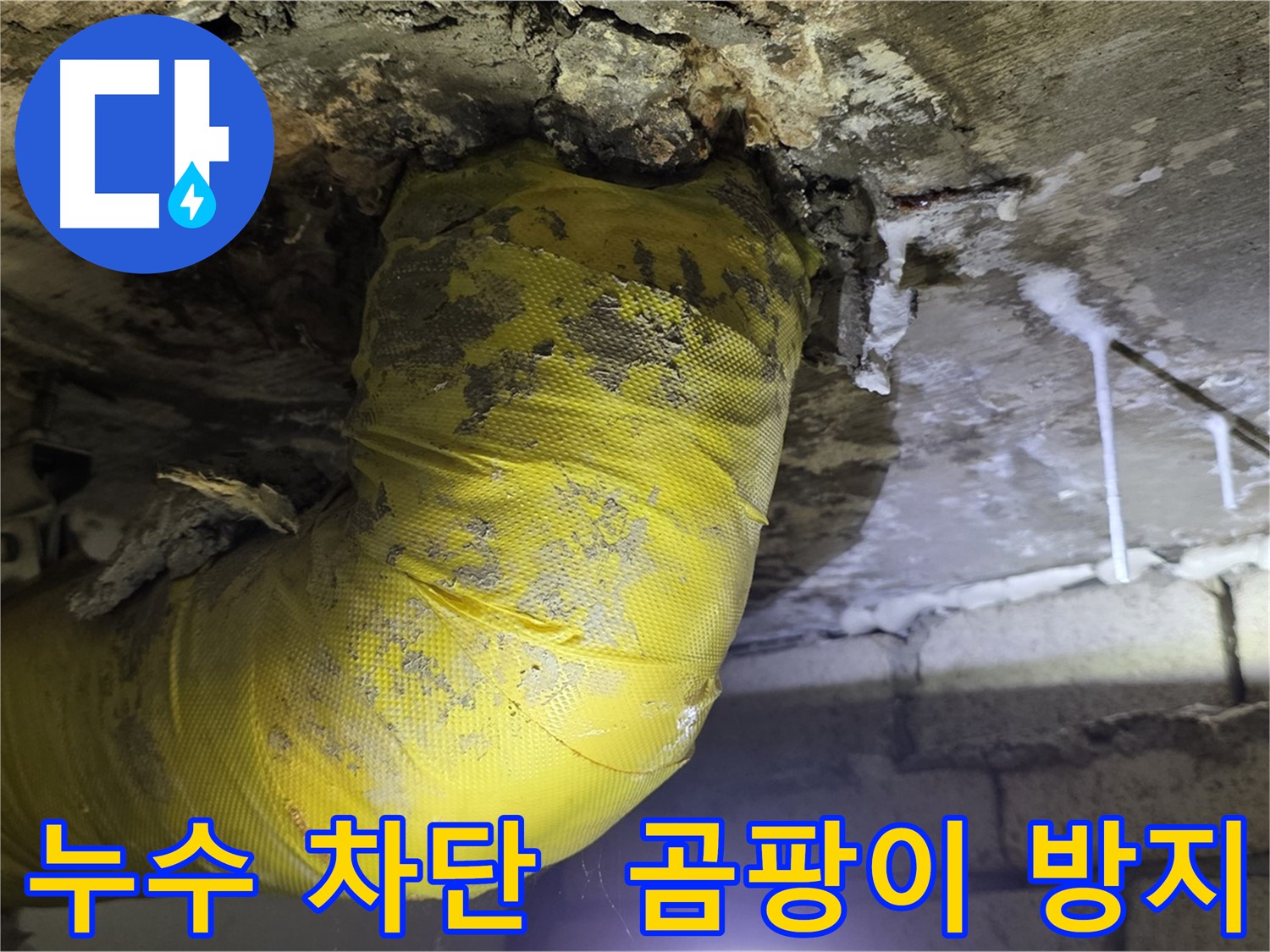 누수 완벽 차단 - 은평구 신사동 누수, 곰팡이 걱정 끝