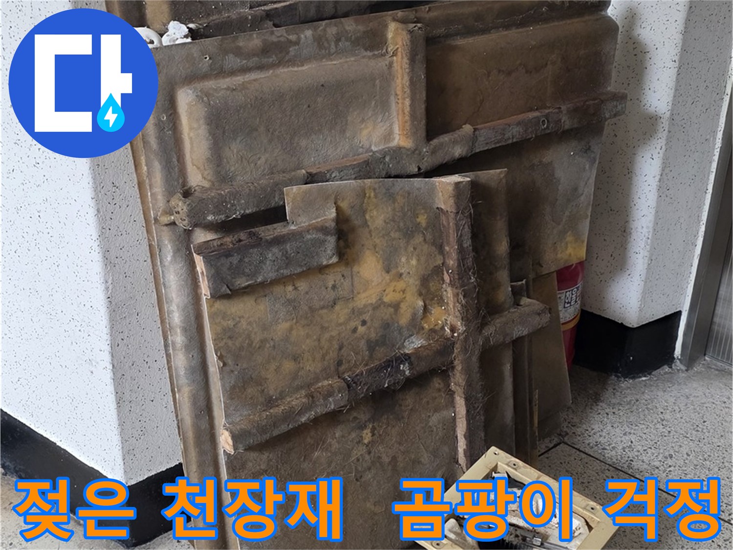 젖은 천장재와 조명 - 곰팡이 걱정 해결