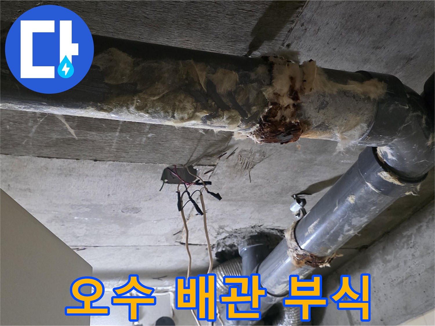 은평구 신사동 누수 - 오수 배관 부식 문제 긴급 해결 작업 진행 중