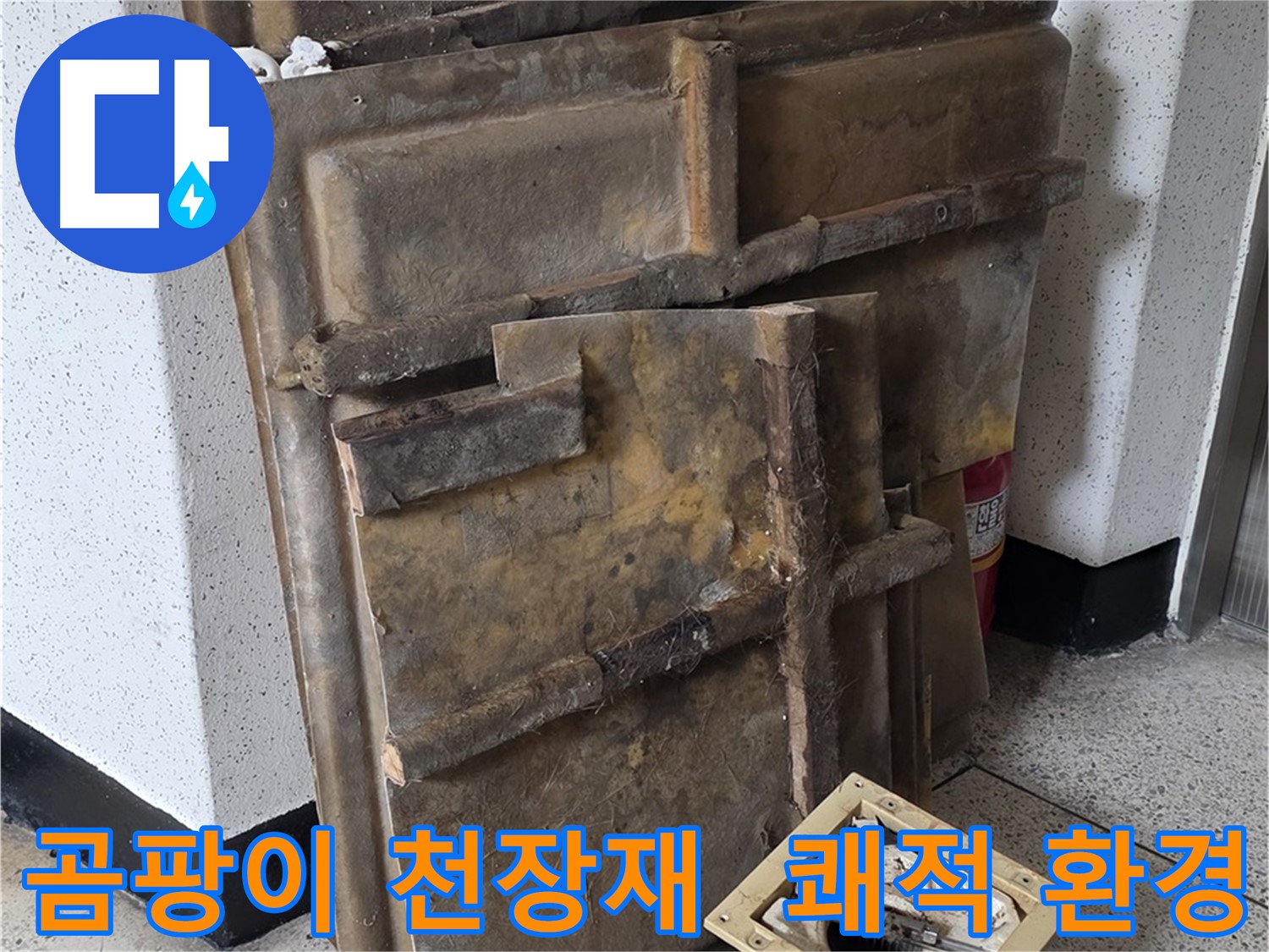 곰팡이 핀 천장재와 조명 - 쾌적한 환경으로 변신