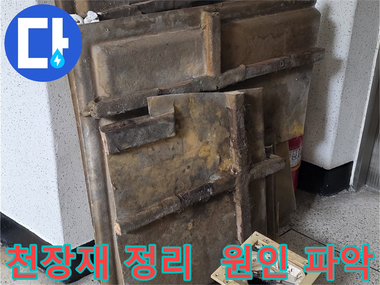 천장재와 조명 정리 후 누수 원인 파악 집중