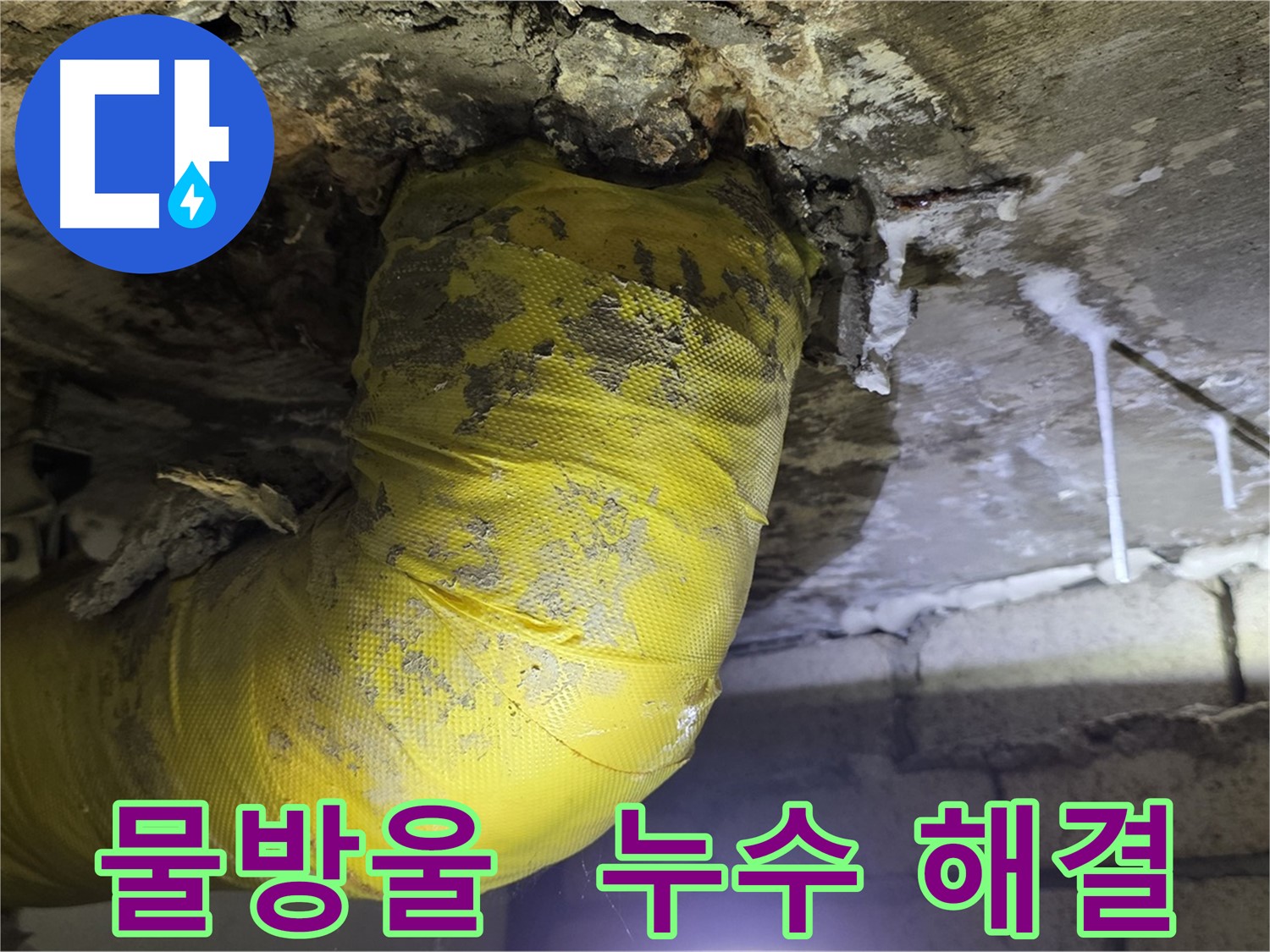 멈추지 않는 물방울 - 은평구 신사동 누수 해결