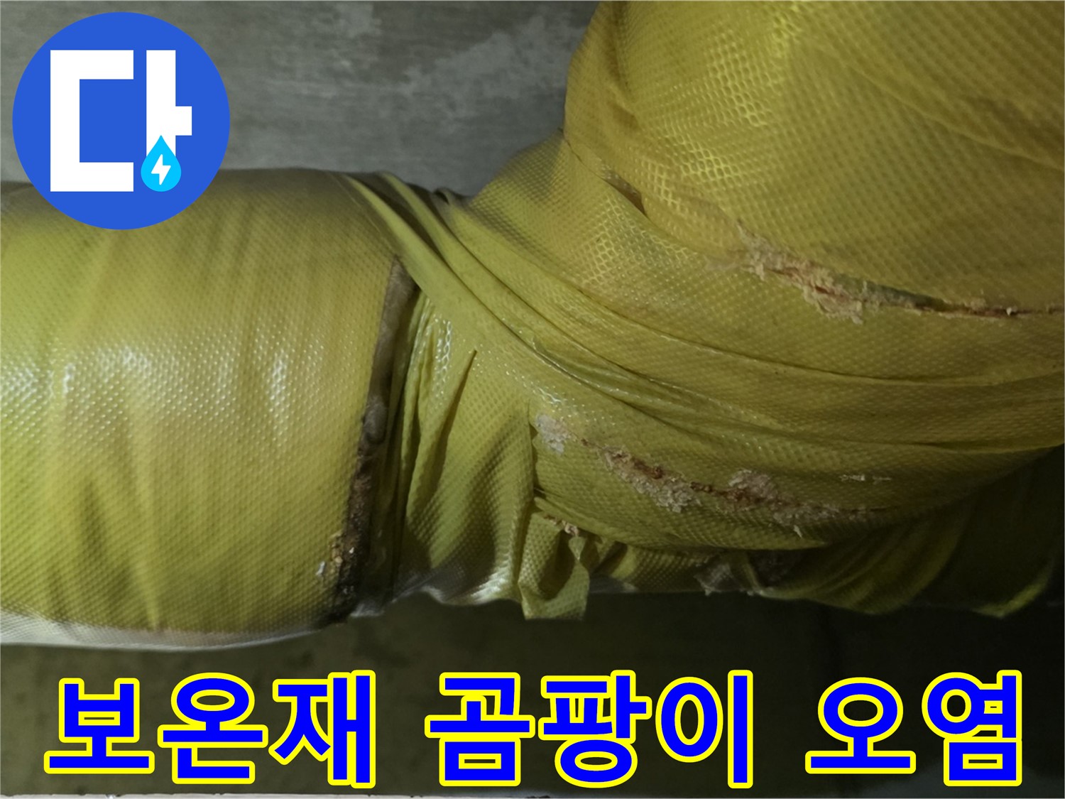 보온재 속 곰팡이 - 건강 위협, 실내 공기 오염 유발