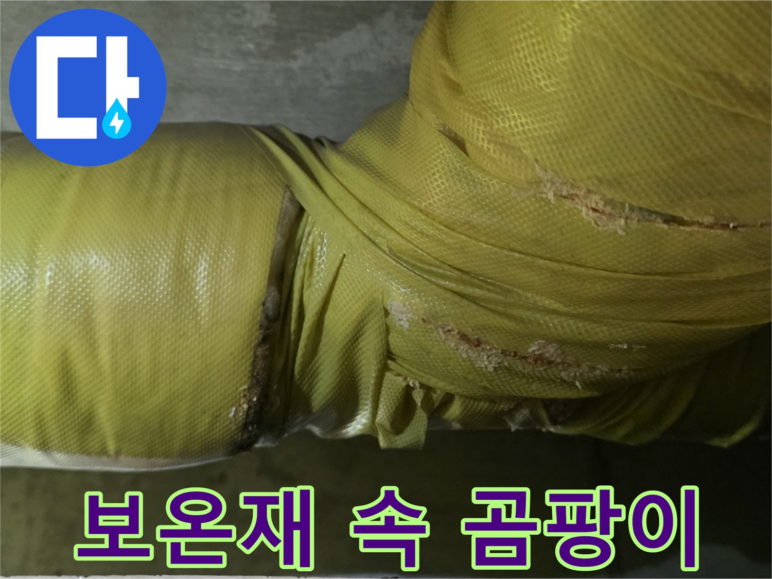 배관 보온재 속 누수 - 곰팡이 서식 환경 제공, 건강을 위협합니다.