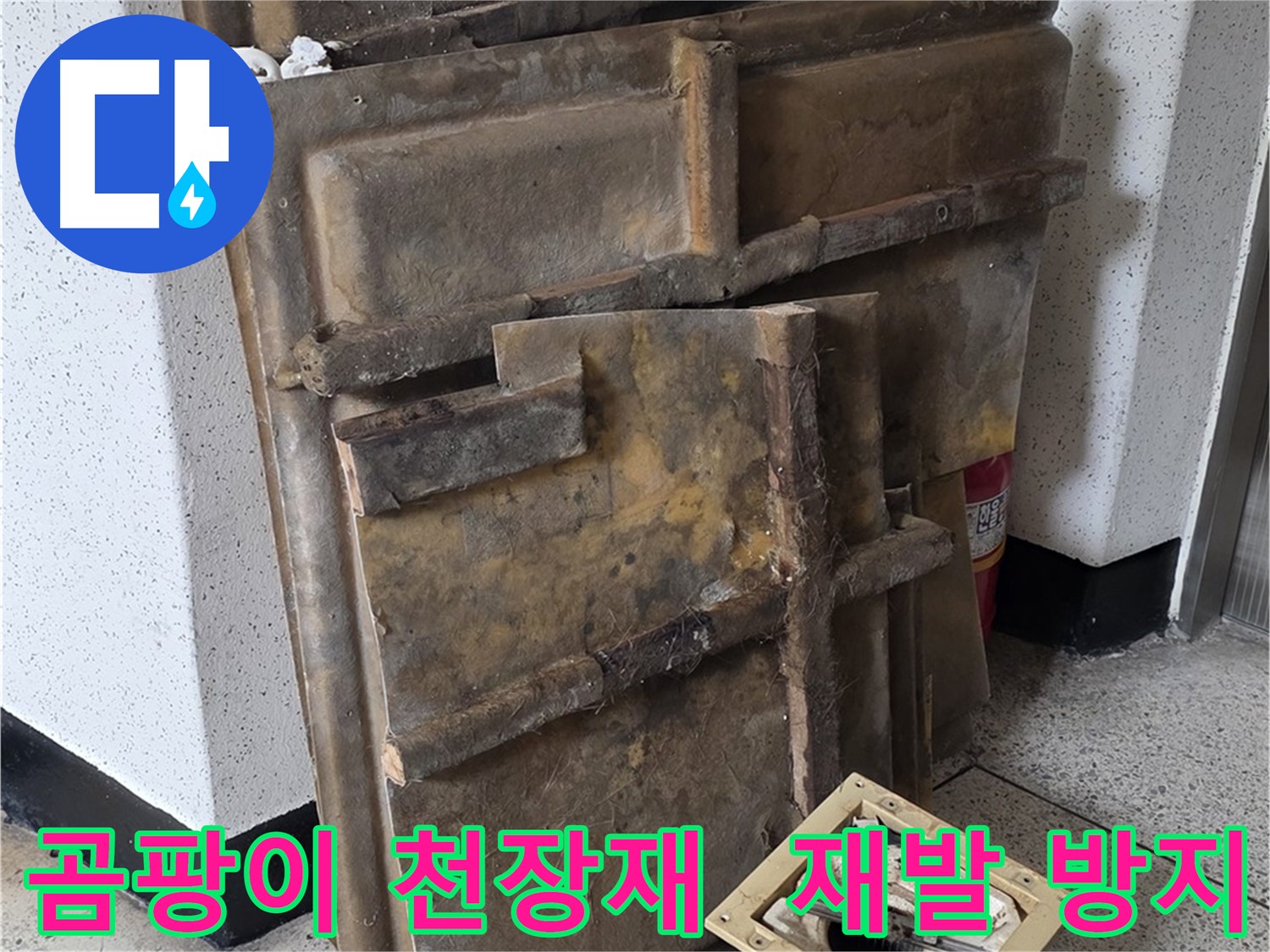 곰팡이 핀 천장재와 조명 - 곰팡이 재발 방지 시스템