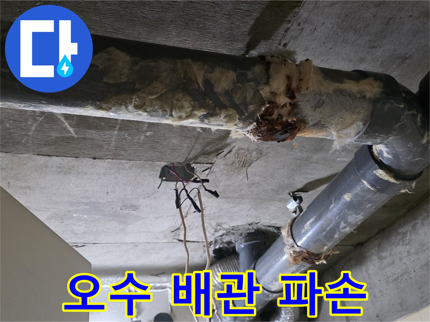 신사동 새절역 현대아파트 누수 - 오수 배관 파손 긴급 복구 및 누수 방지