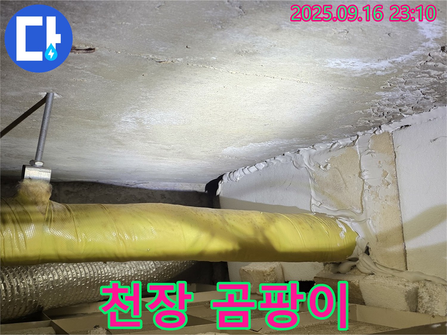 천장 곰팡이 - 천장에 곰팡이가 발생한 모습입니다.