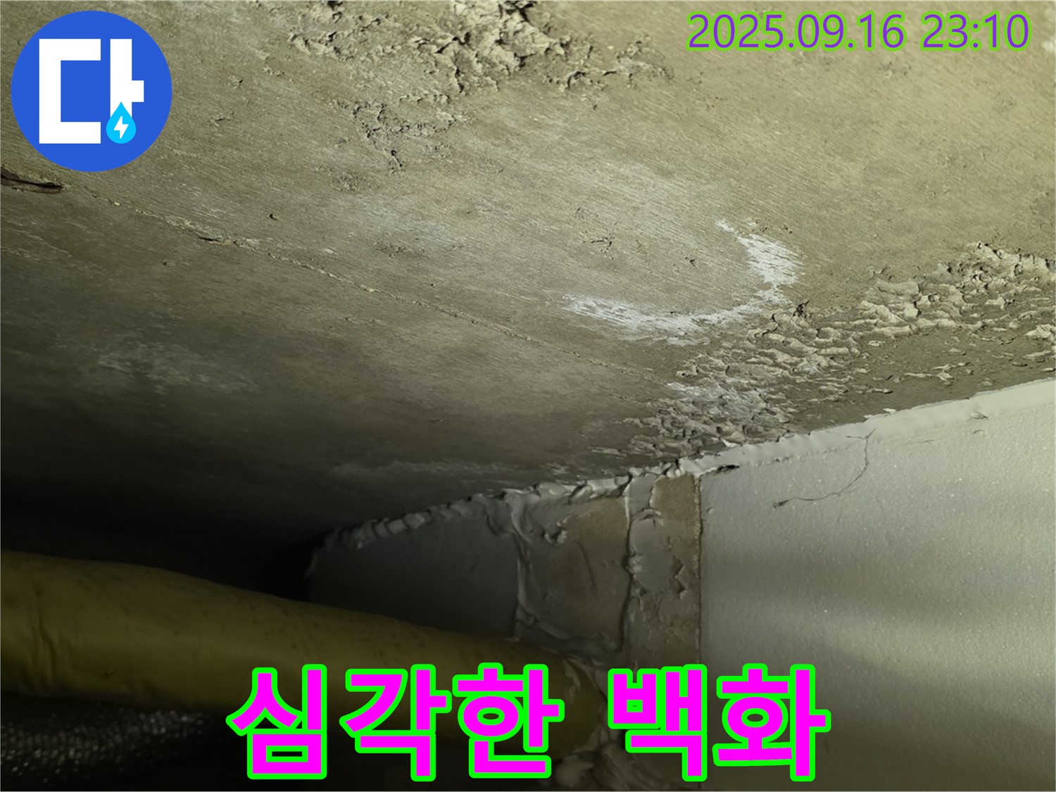 천장 누수 - 심각한 백화 현상으로 건물 손상 우려