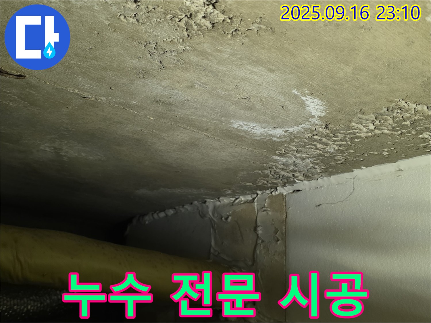 천장 누수 전문 시공 - 전문 장비로 정확 분석