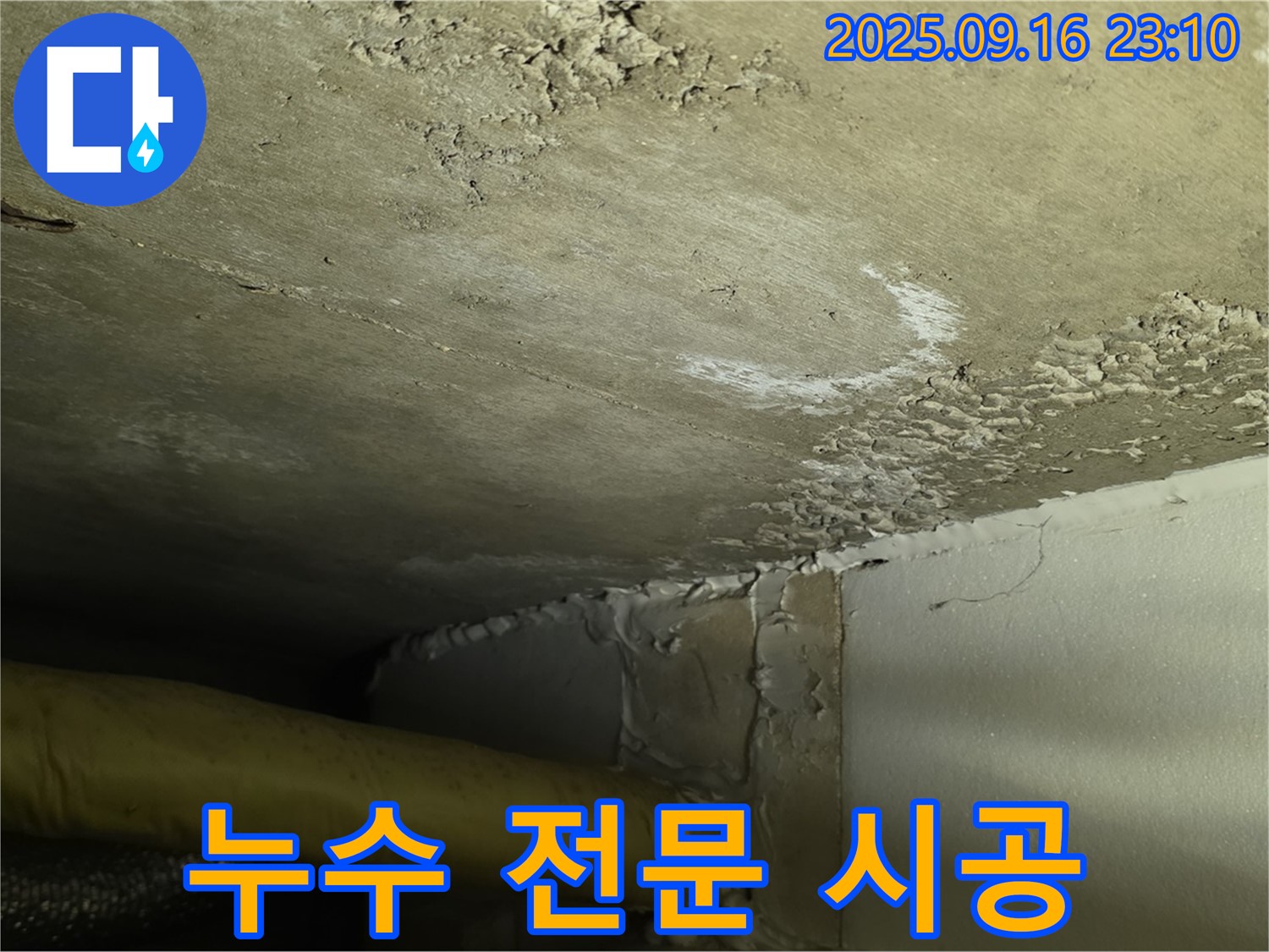 천장 누수 전문 시공 - 전문 장비로 정확 분석