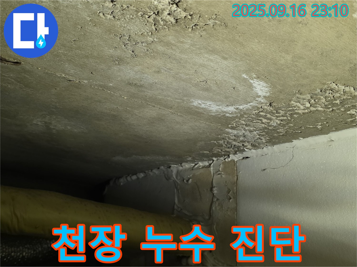 천장 누수 진단 - 전문 장비를 이용한 정확한 분석