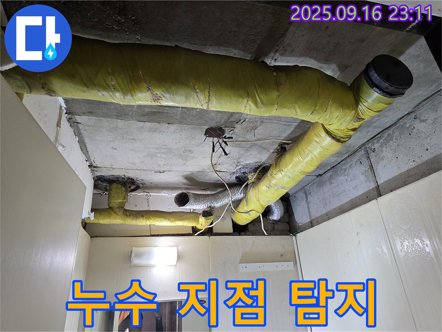 첨단 장비 이용 누수 지점 탐지 - 신사동 아파트 누수