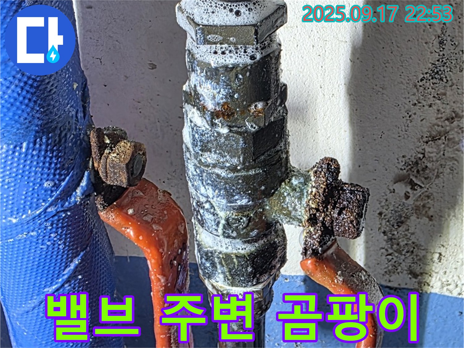 광명 누수 탐지 - 밸브 주변 곰팡이 - 지속적인 습기 증거