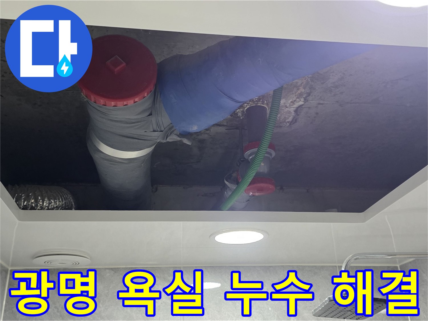 광명시 광명동 877 욕실 누수 - 꼼꼼한 점검과 확실한 해결