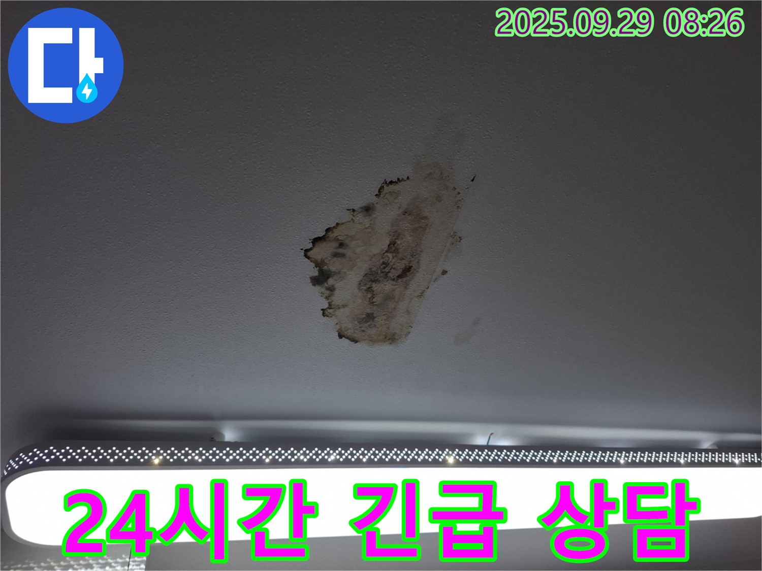 곰팡이 누수 - 24시간 상담 - 신속 대응