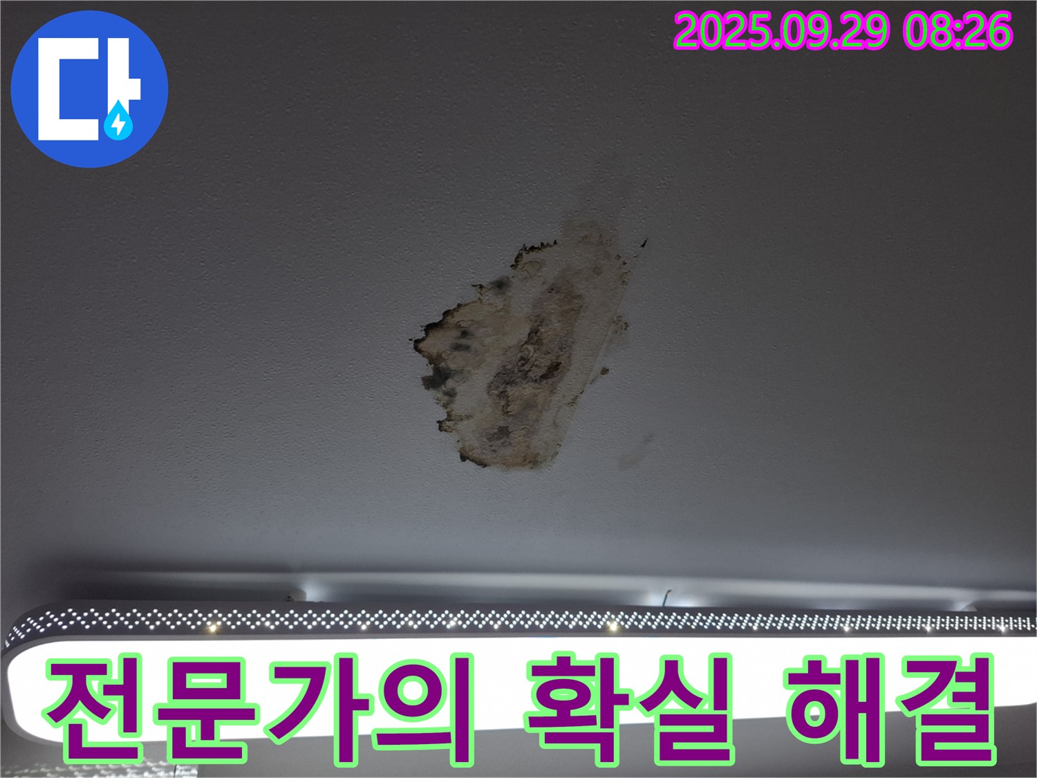곰팡이 누수 - 전문가 - 확실한 해결