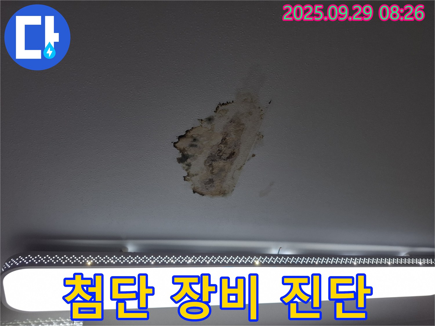 곰팡이 누수 - 첨단 장비 - 정확 진단