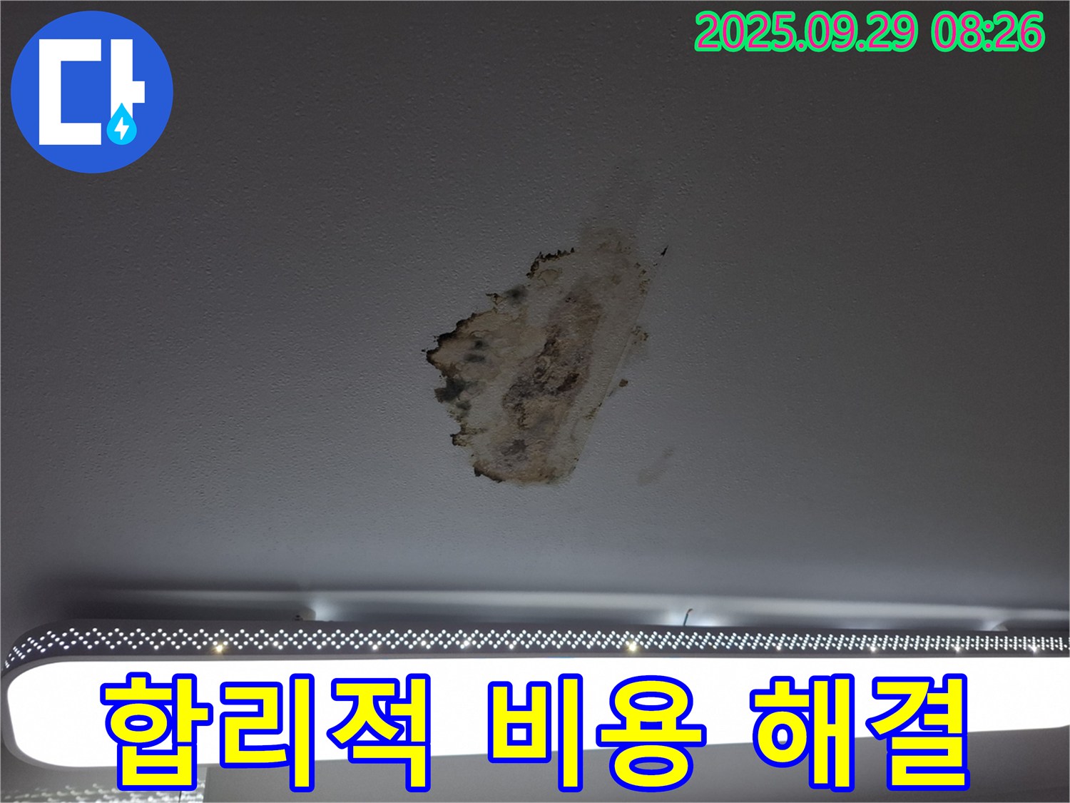곰팡이 누수 - 합리적 비용 - 투명 견적