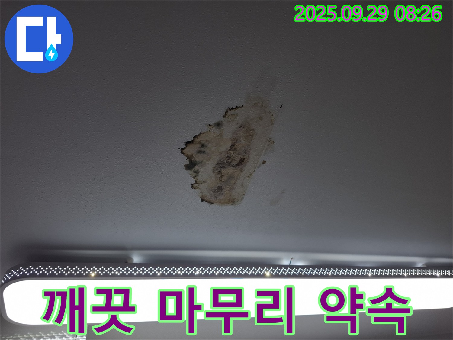 곰팡이 제거 - 깨끗한 마무리 - 완벽 복구