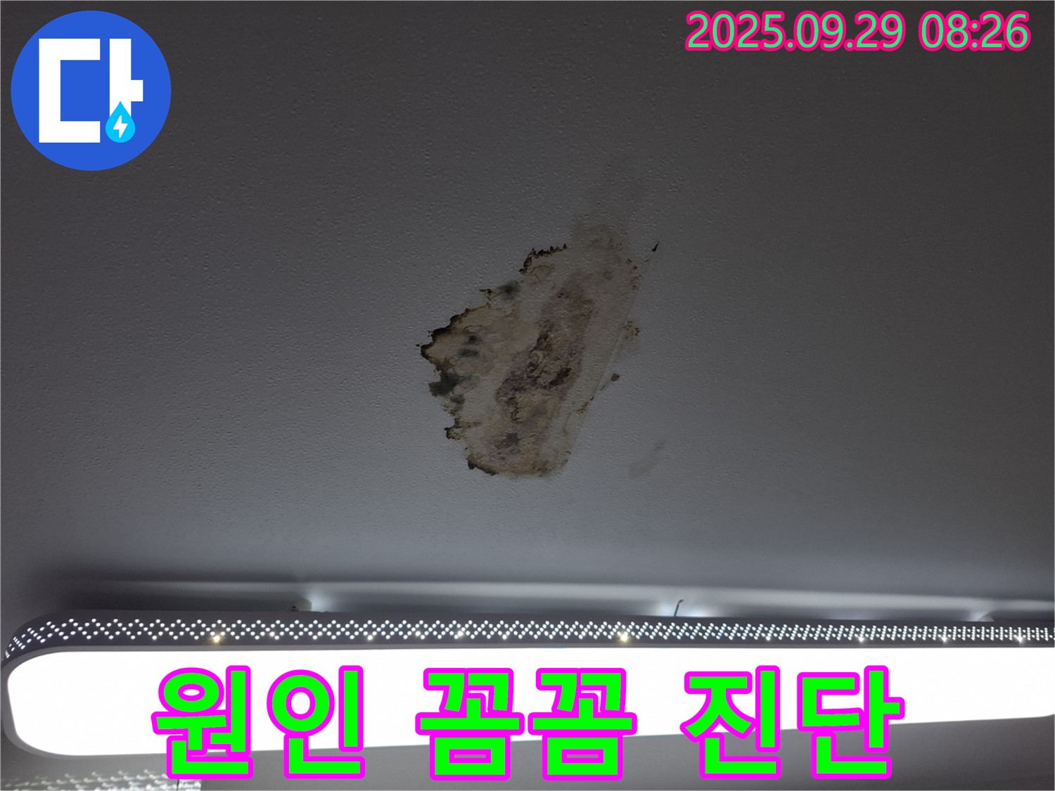 곰팡이 천장 - 누수 원인 - 꼼꼼 진단