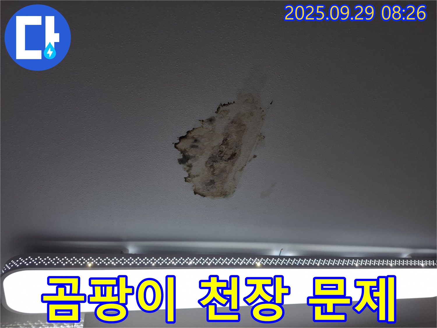 곰팡이 핀 천장 - 누수 문제 - 전문 업체 선택 중요