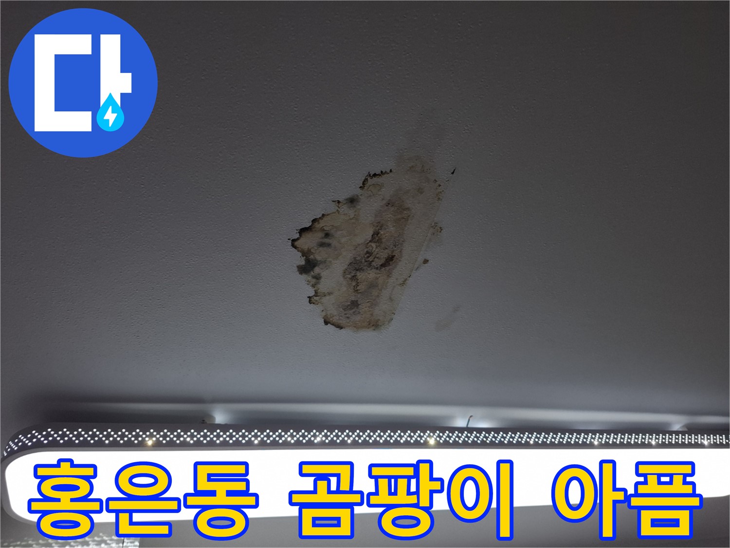 곰팡이 물든 천장 - 누수로 인한 아픔을 치유해 드립니다
