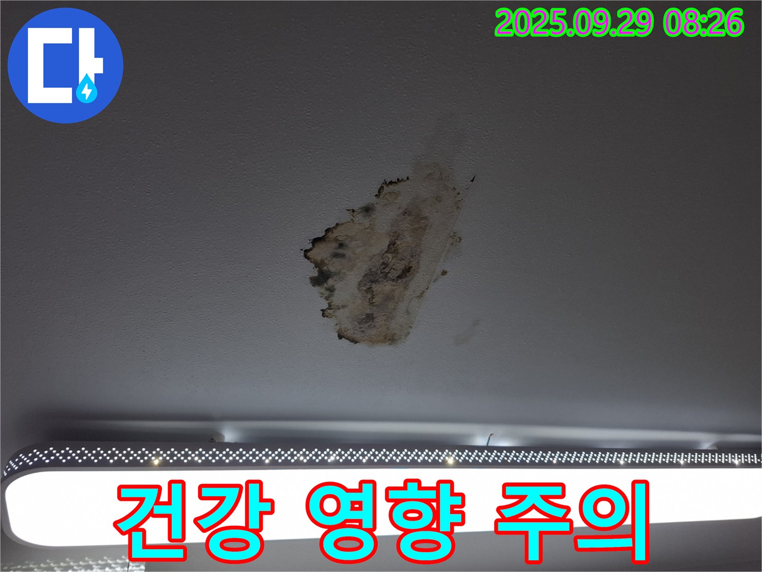 천장 누수 - 곰팡이 - 건강에 악영향