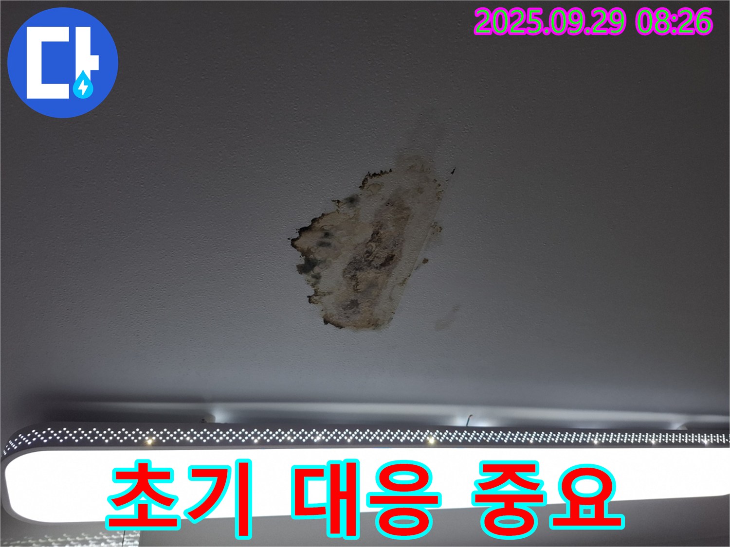 천장 누수 - 곰팡이 발생 - 초기 대응