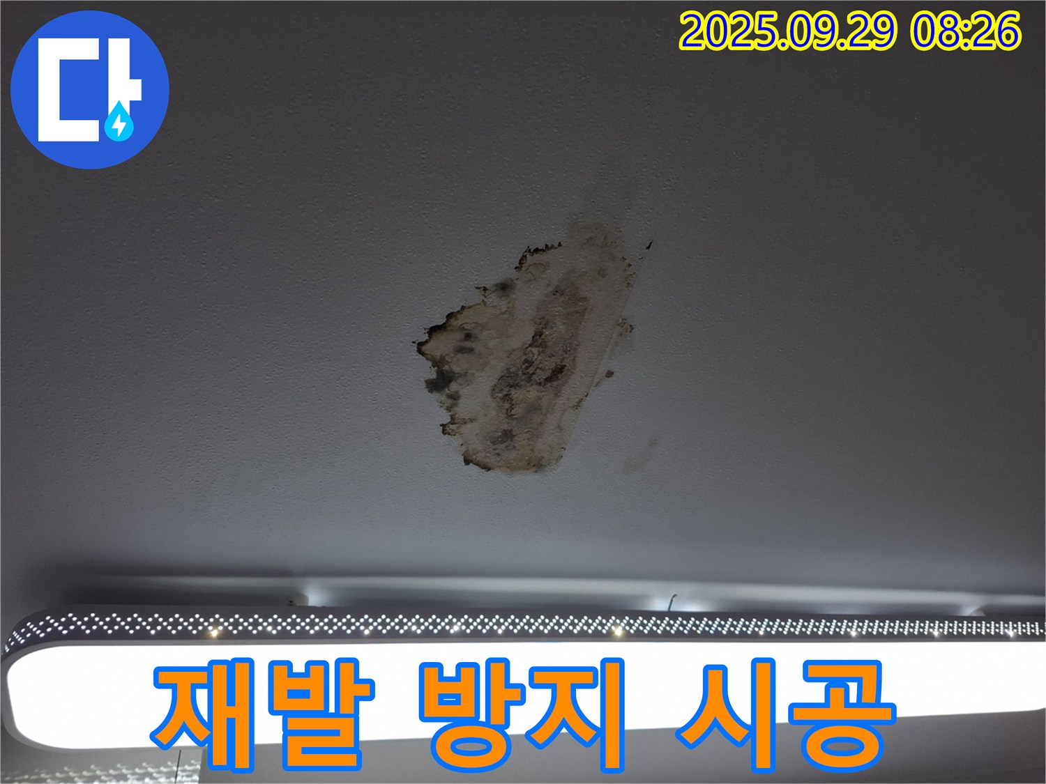 천장 누수 - 곰팡이 - 재발 방지 시공
