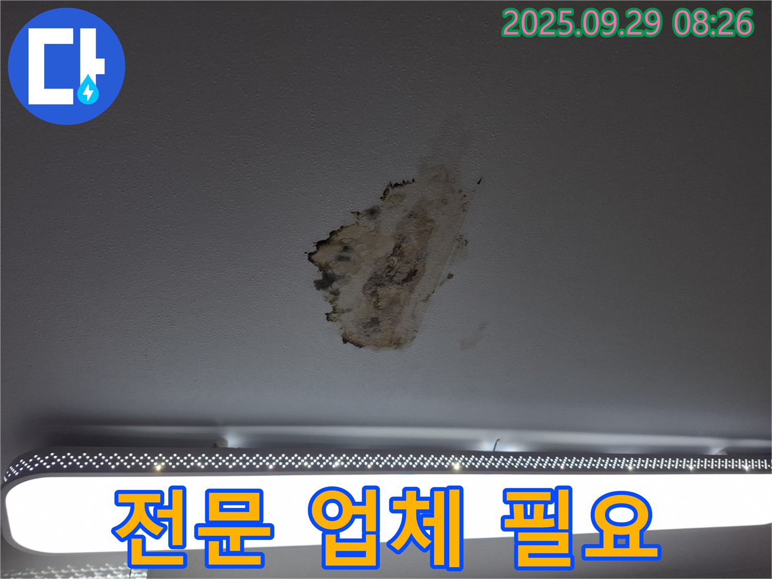 천장 누수 - 곰팡이 제거 - 전문 업체