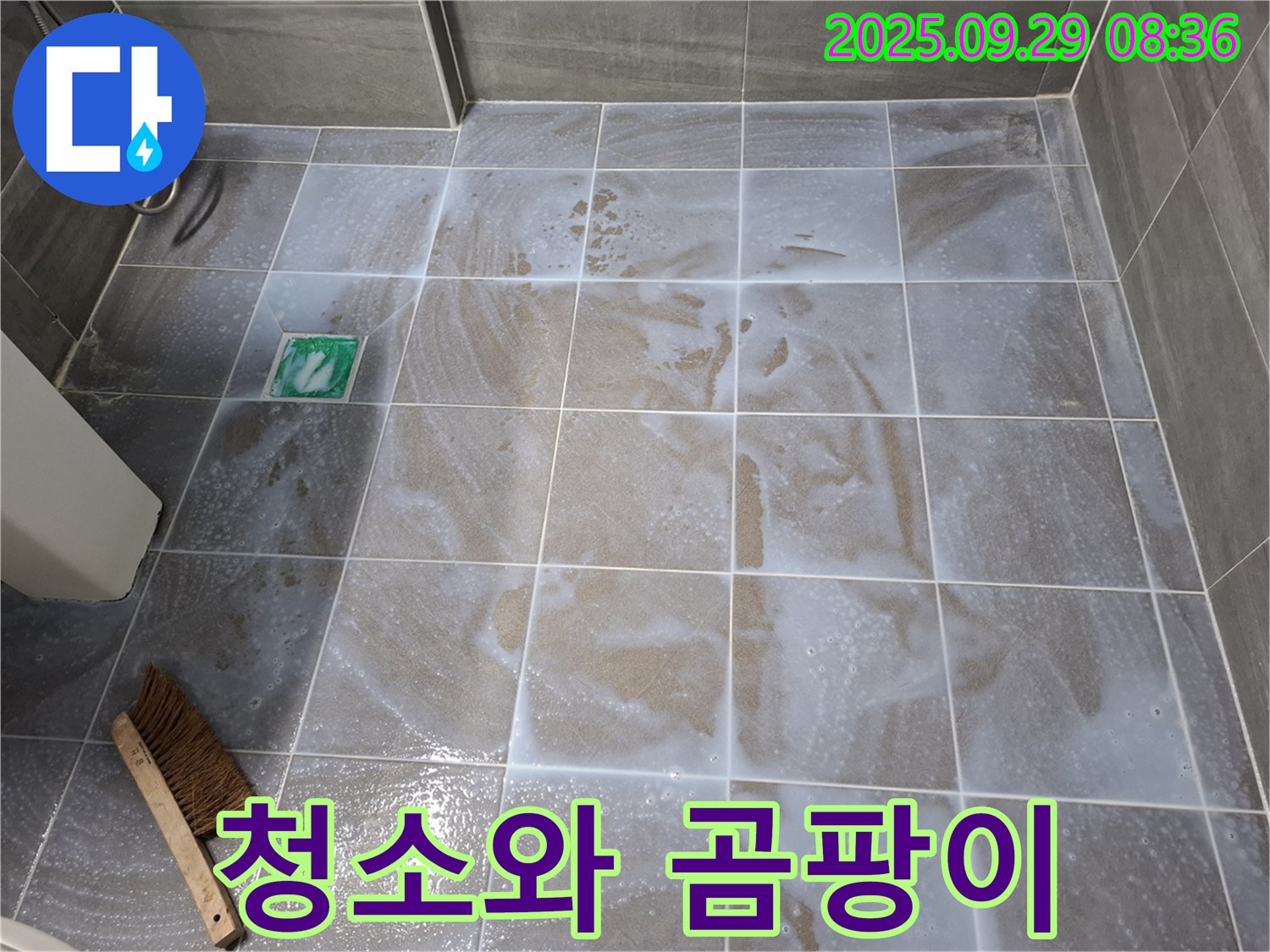타일 틈새 - 청소와 곰팡이 제거 중요