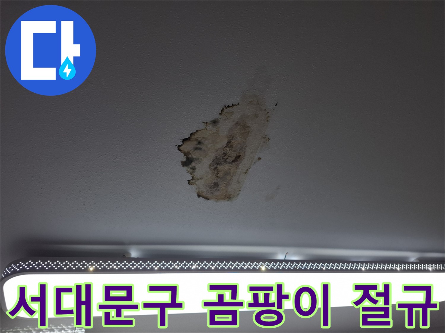 곰팡이 핀 천장 - 고통스러운 절규를 멈추게 해주세요