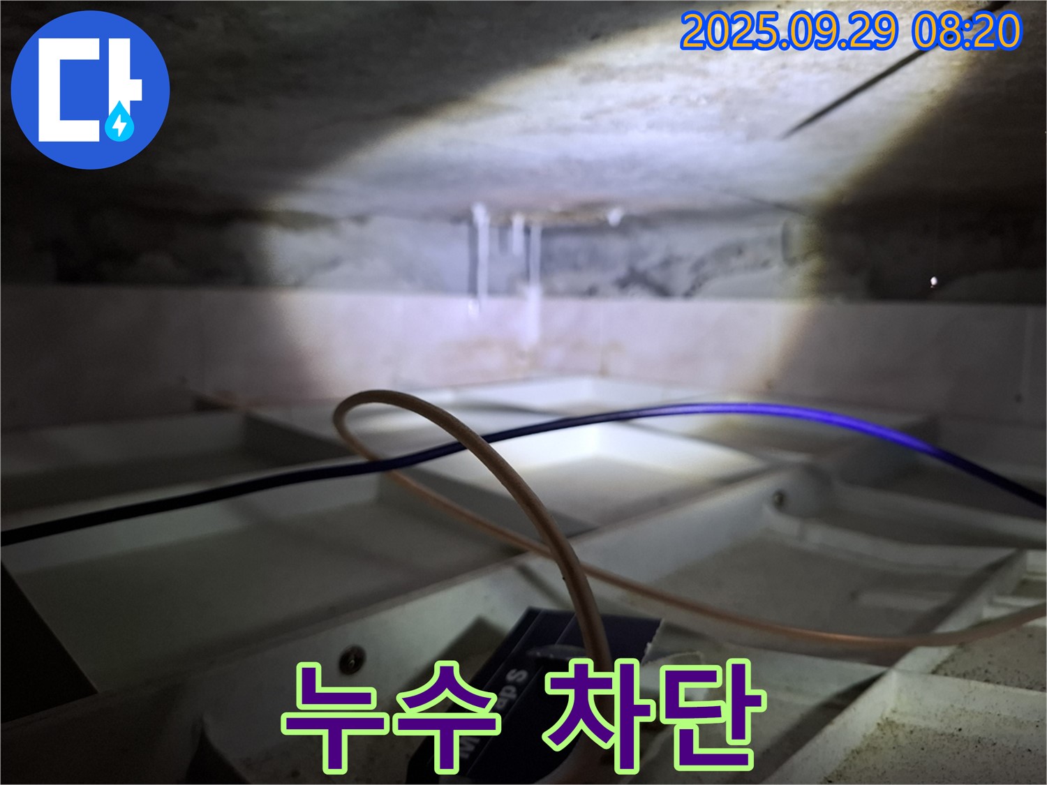 홍은동 빌라 - 천장 누수 완벽 차단을 위한 전문 기술