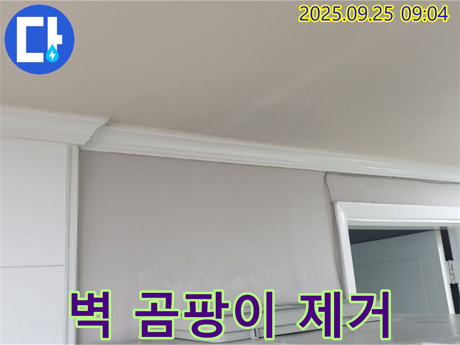 양주 백석읍 연곡리 - 벽 곰팡이 제거와 누수 해결, 건강하고 쾌적한 공간으로!