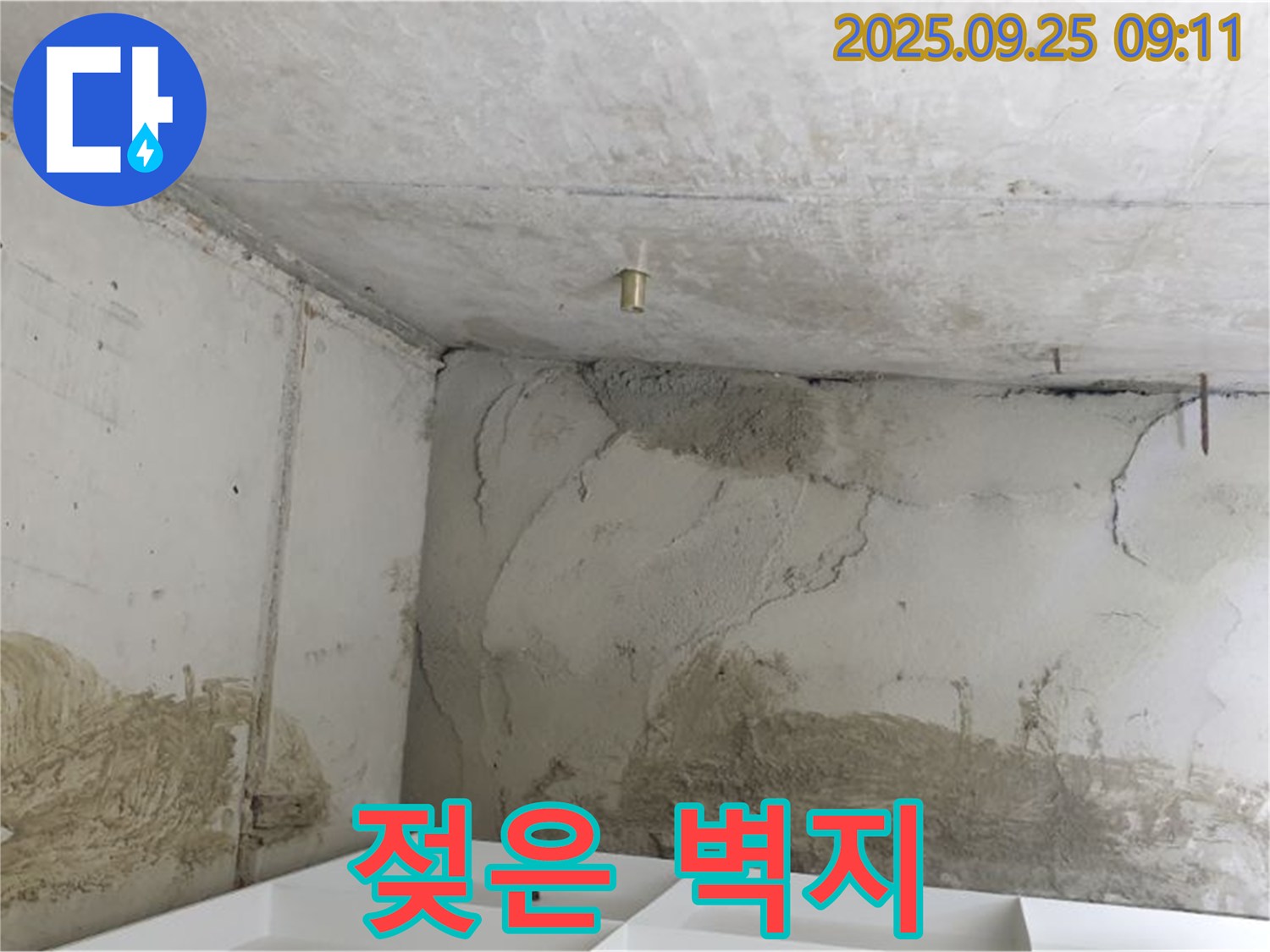 양주시 백석읍 누수 - 젖은 벽지, 곰팡이 번식 우려