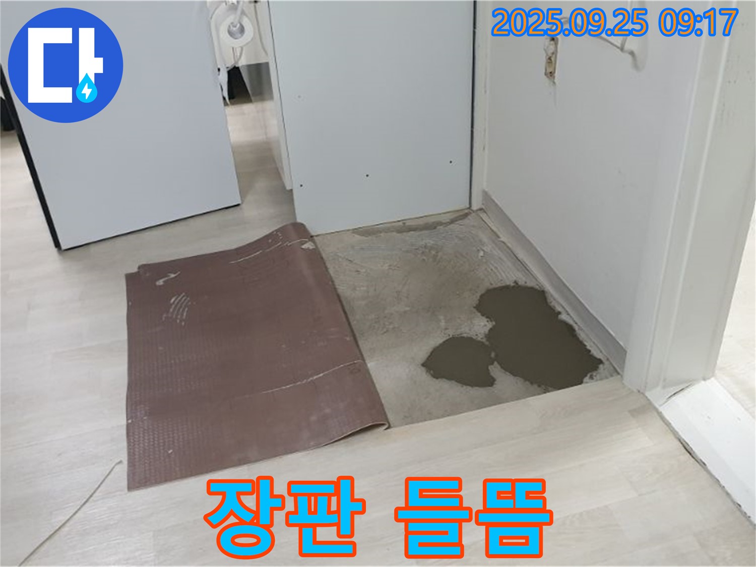 양주시 백석읍 연곡리 누수 - 장판 들뜸 현상