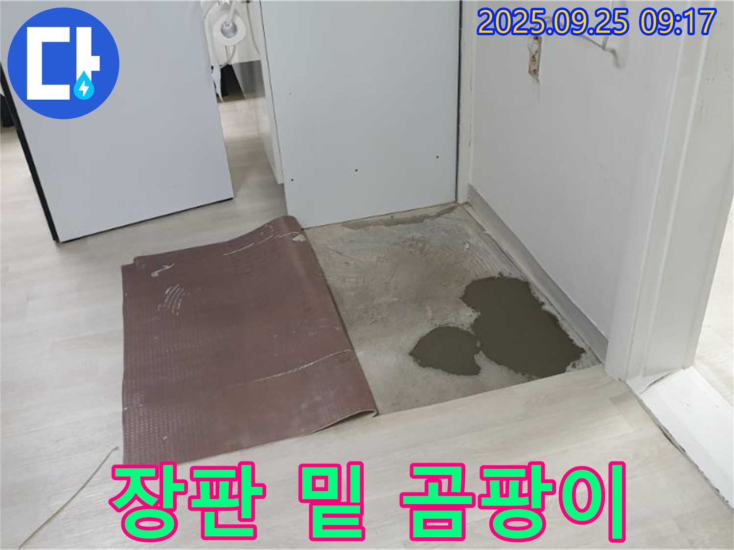 양주시 백석읍 연곡리 누수 - 장판 밑 곰팡이 발생