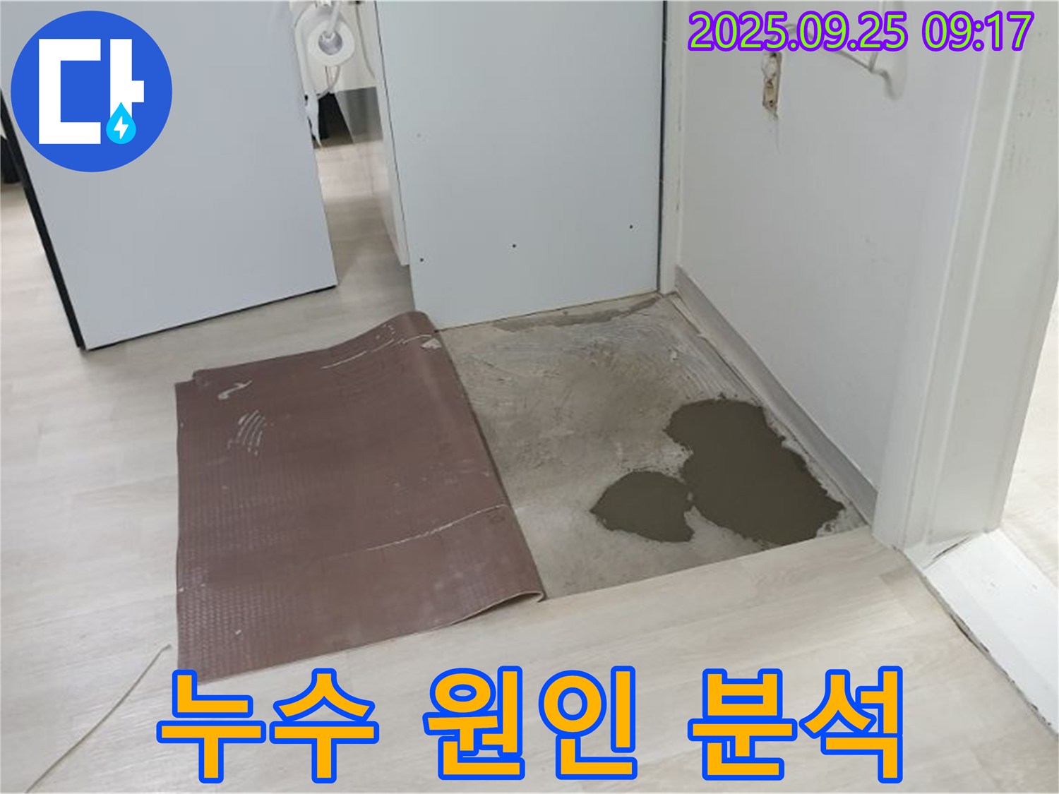 양주시 백석읍 연곡리 누수 - 장판 밑 누수 원인 분석