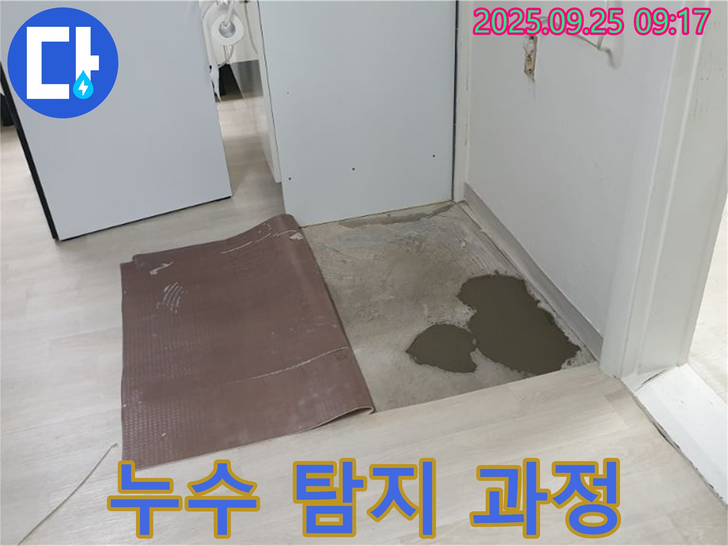 양주시 백석읍 연곡리 누수 - 장판 밑 누수 탐지 과정 상세