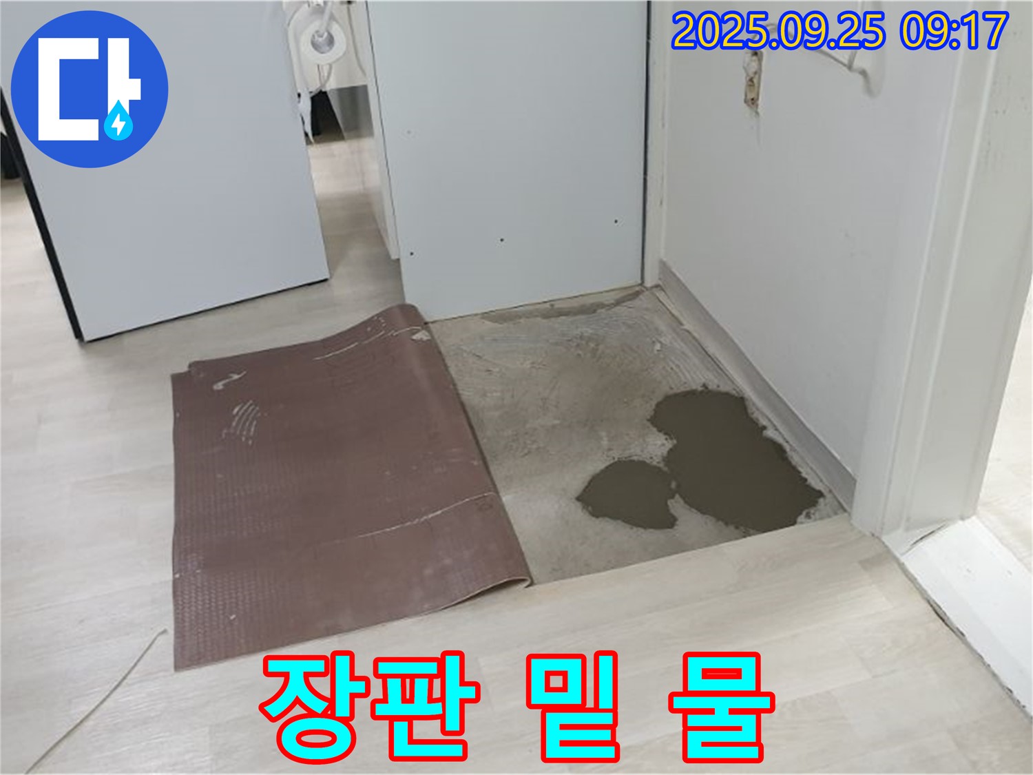 양주시 백석읍 연곡리 누수 - 장판 아래 물이 고여 있는 모습