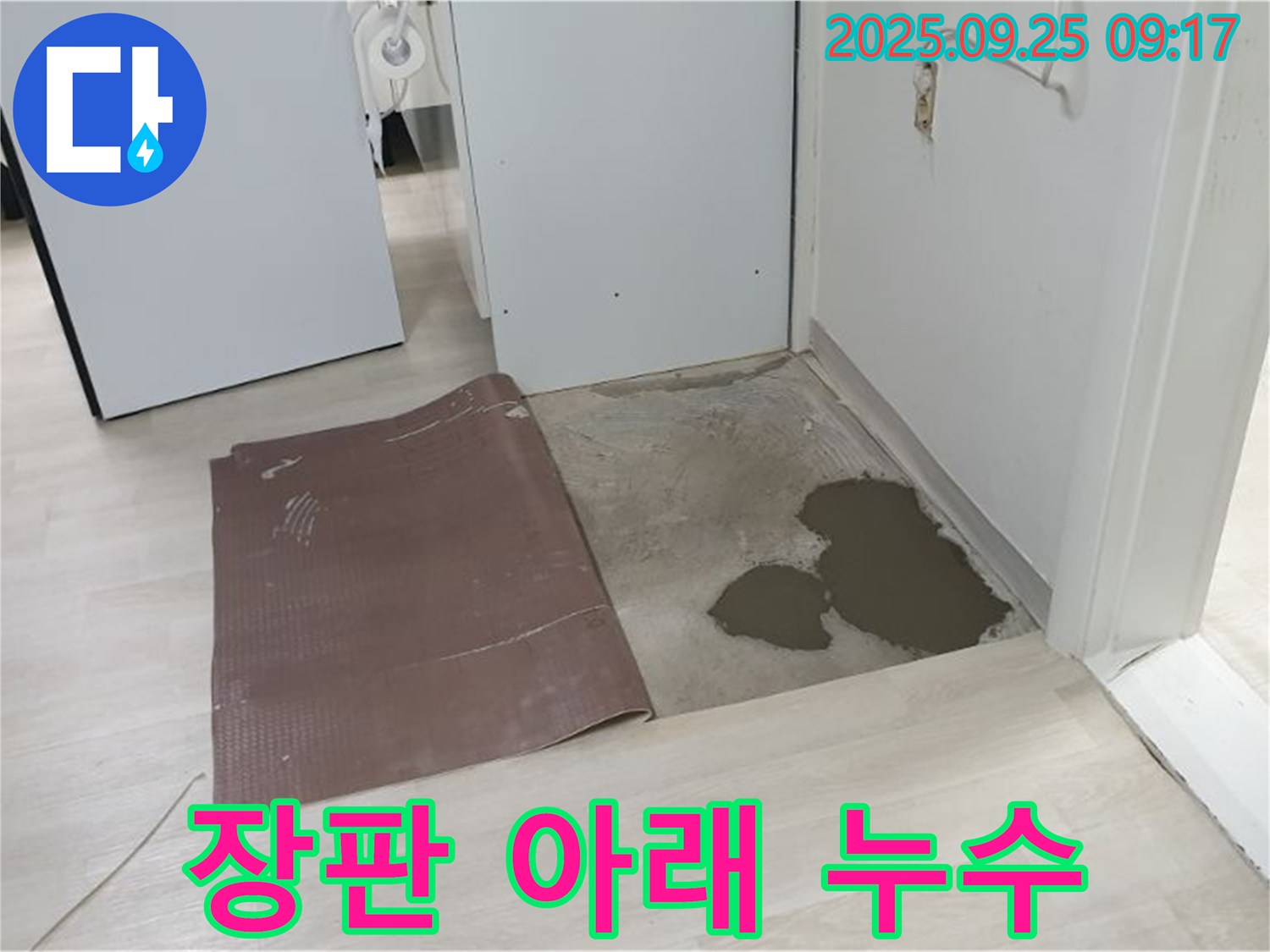 양주시 백석읍 연곡리 누수 - 장판 아래 숨어있던 누수 발견