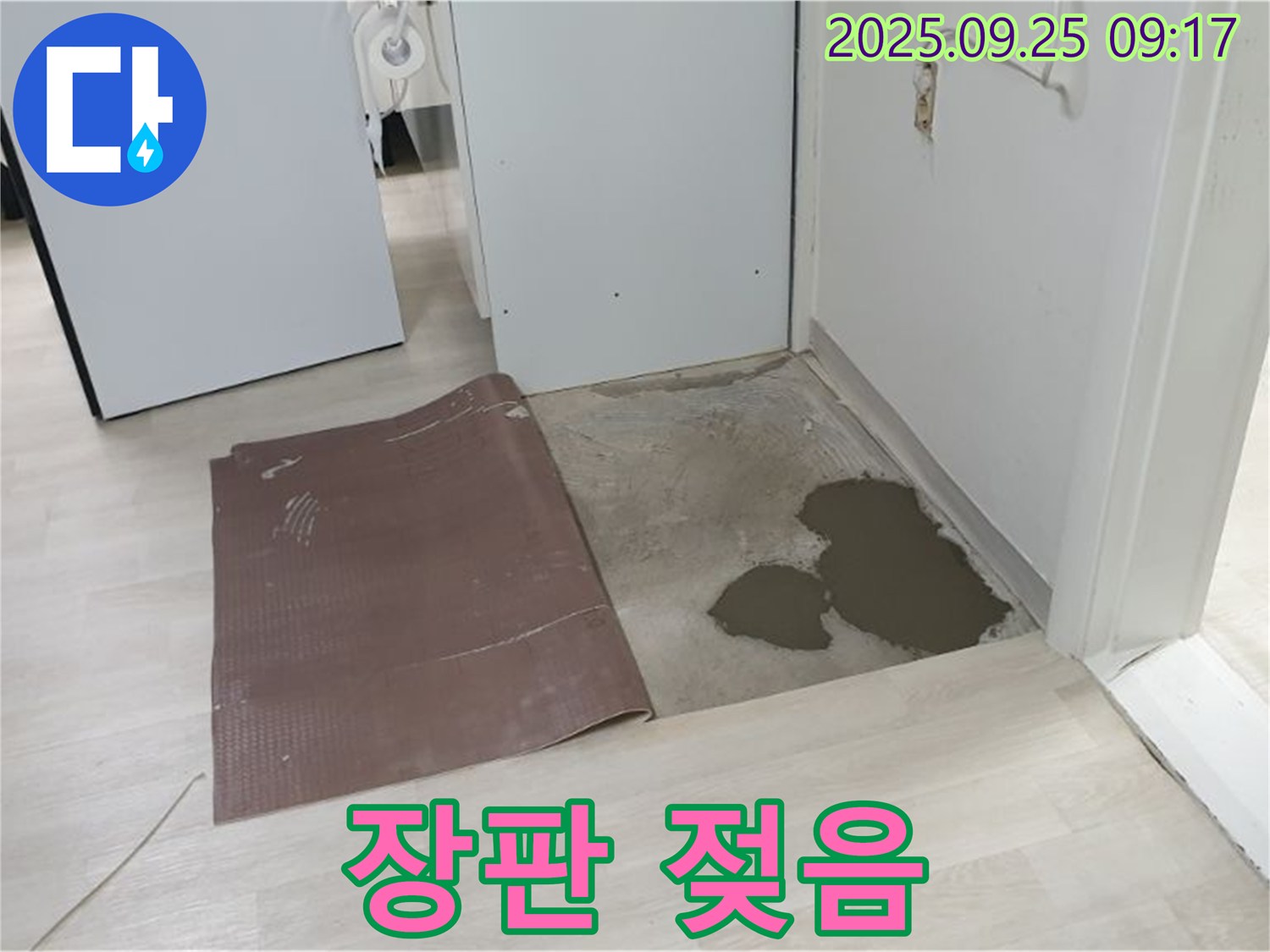 양주시 백석읍 연곡리 누수 - 장판 젖음 현상 확인