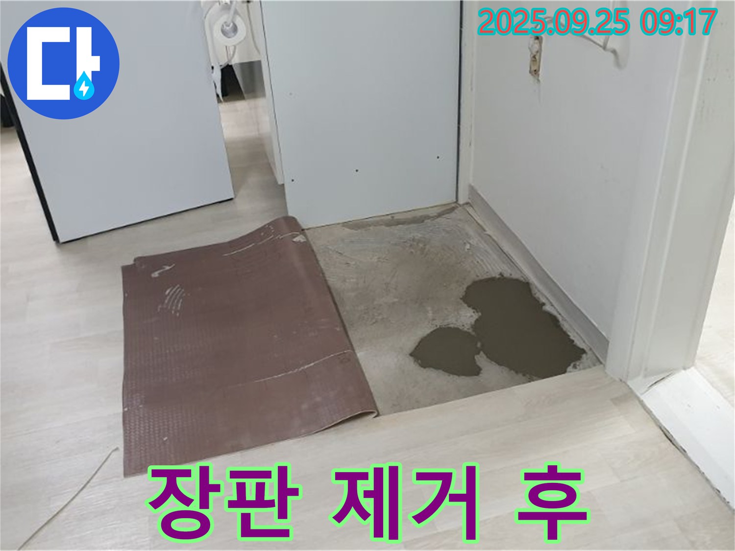 양주시 백석읍 연곡리 누수 - 장판 제거 후 누수 지점 확인