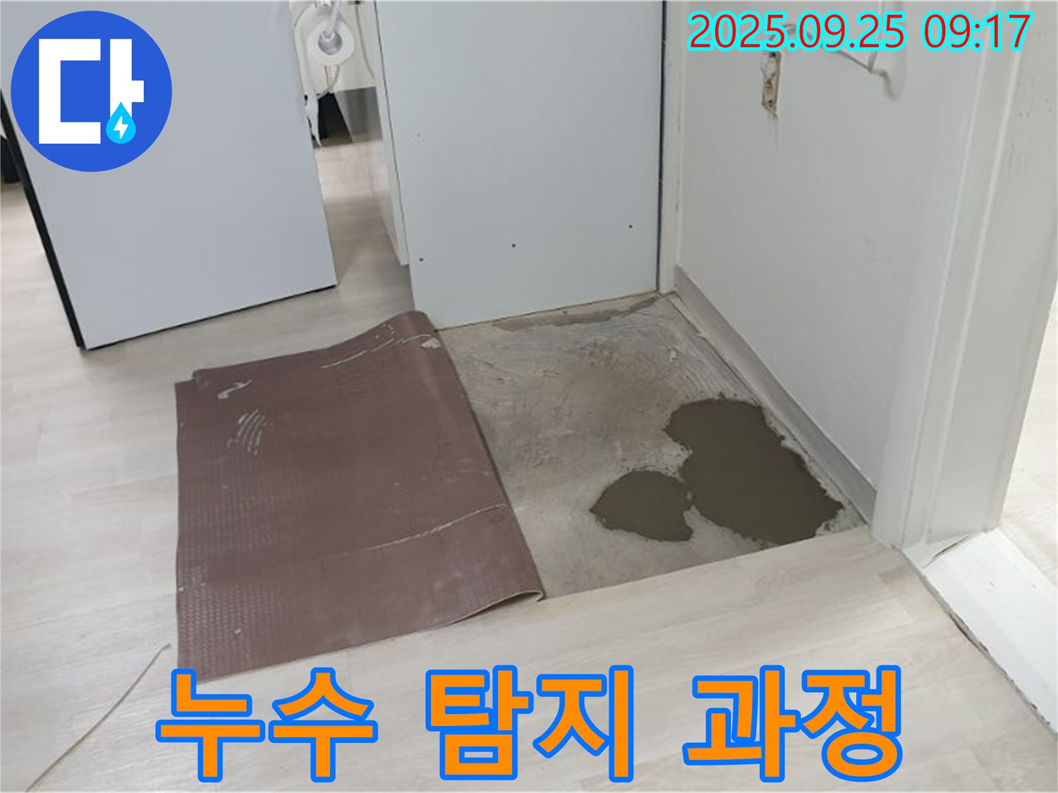 양주시 백석읍 연곡리 누수 - 타일 누수 탐지 과정 상세