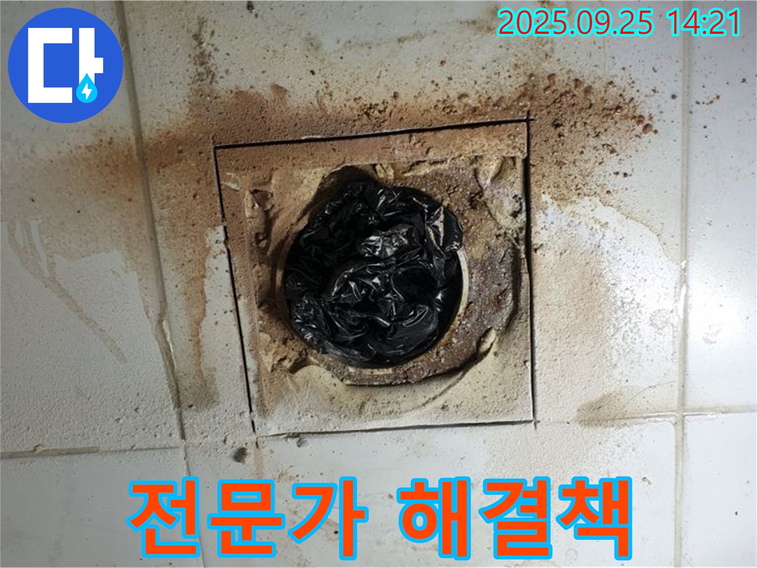 의정부 배수구 문제 - 전문가의 확실한 해결책