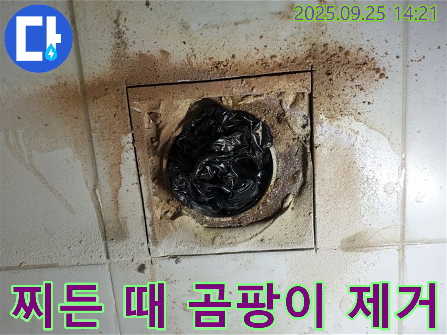 의정부 배수구 청소 - 찌든 때와 곰팡이 완벽 제거