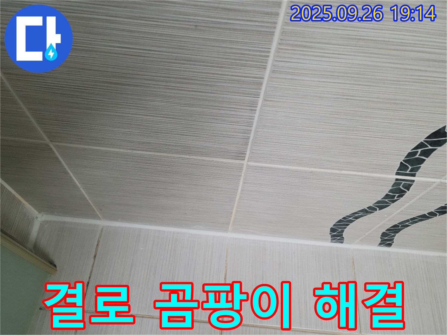 결로 곰팡이 해결 - A/S까지 확실하게!