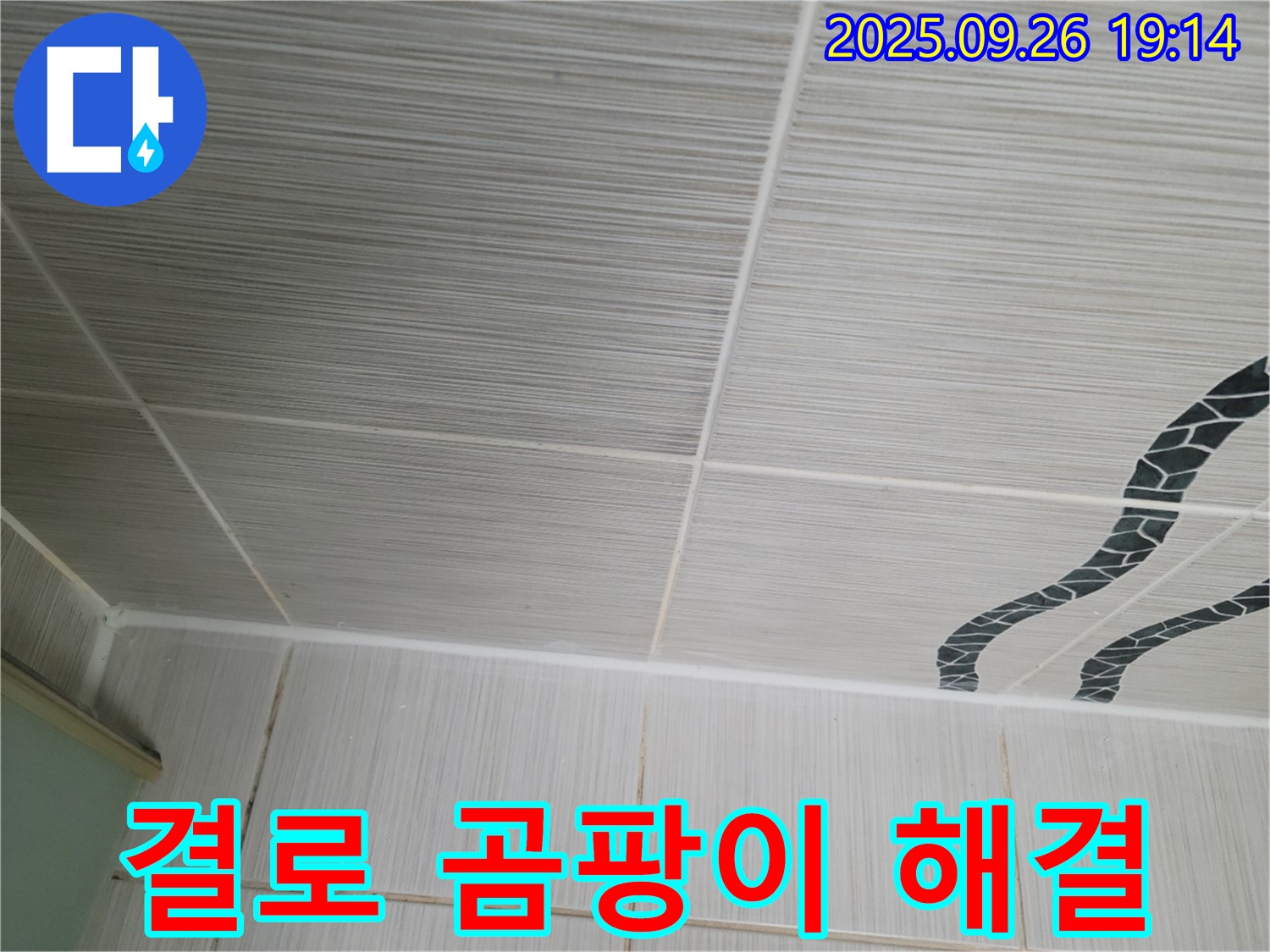 결로 곰팡이 해결 - 완벽한 해결, 쾌적한 공간!