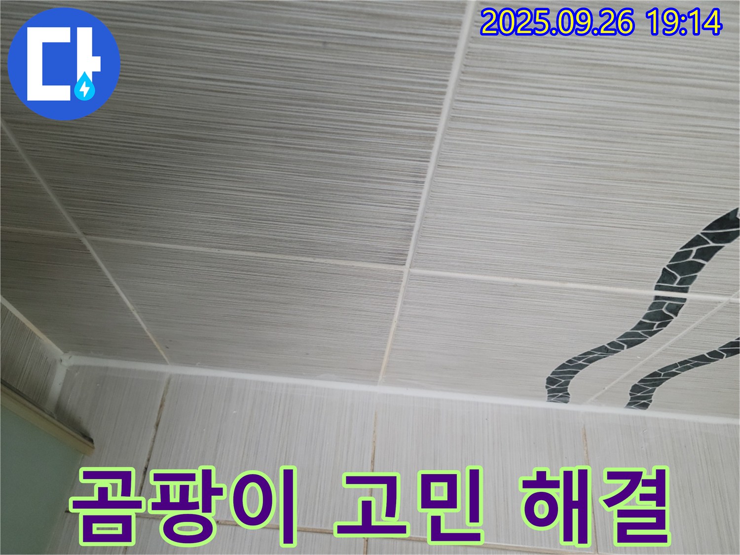 곰팡이 고민 해결 - 곰팡이, 이제 그만!